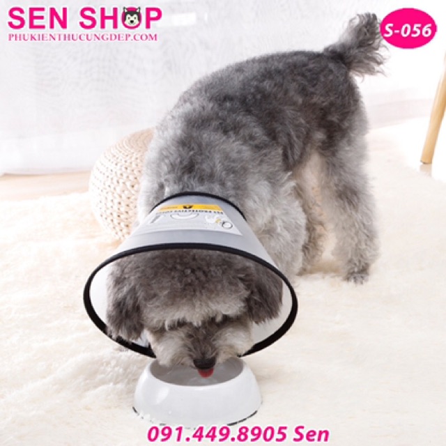 Vòng chống liếm cho chó mèo