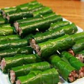 10 cây lá lốt rể trần