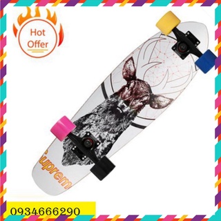 Ván trượt Penny cool 31 .tặng kèm tool  [Khuyến Mại] Ảnh Tự Chụp