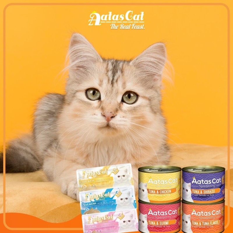 Pate Aatas Cat cá ngừ cho mèo dạng thạch _ Tantalizing Tuna