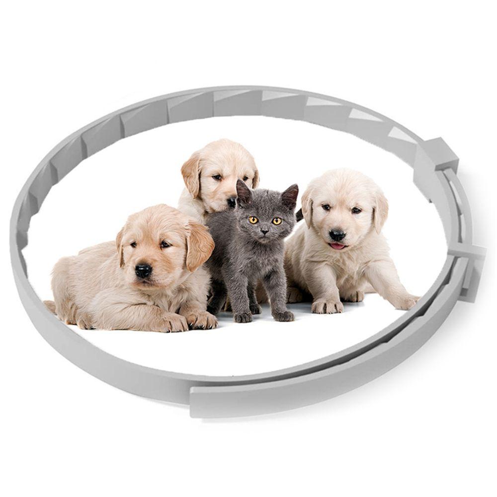 [COD] Vòng Cổ An ToàN Cho Thú Cưng