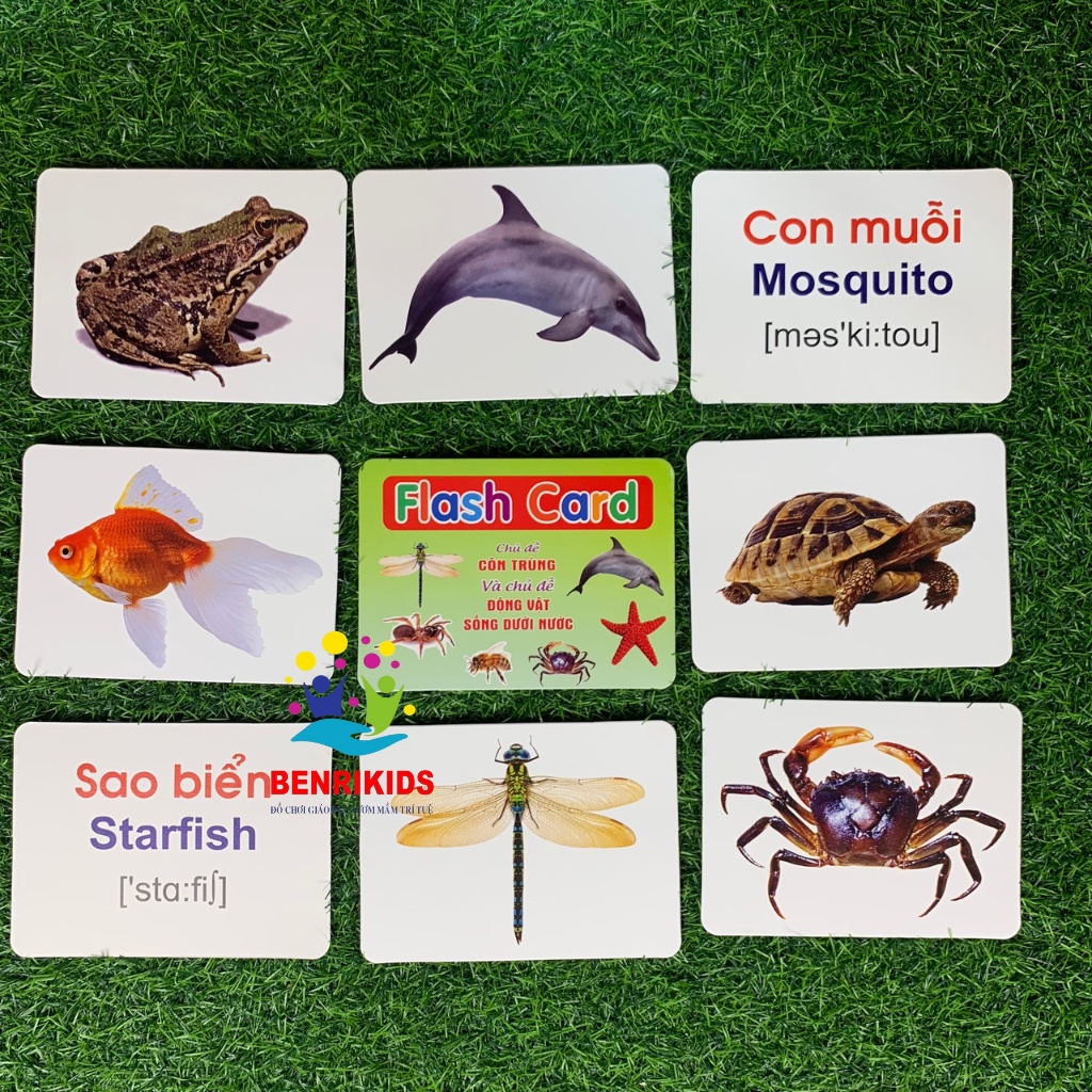 Thẻ Học FlashCard Thông Minh Loại To 16x12Cm 14 Chủ Đề Theo Phương Pháp Glenn Doman Giúp Bé Phát Triển Vượt Trội