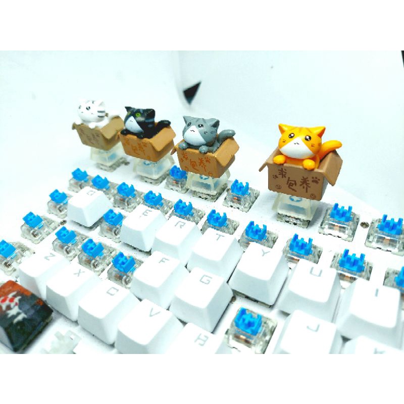 Keycap bé mèo trong hộp( cat in box) chân trong suốt.