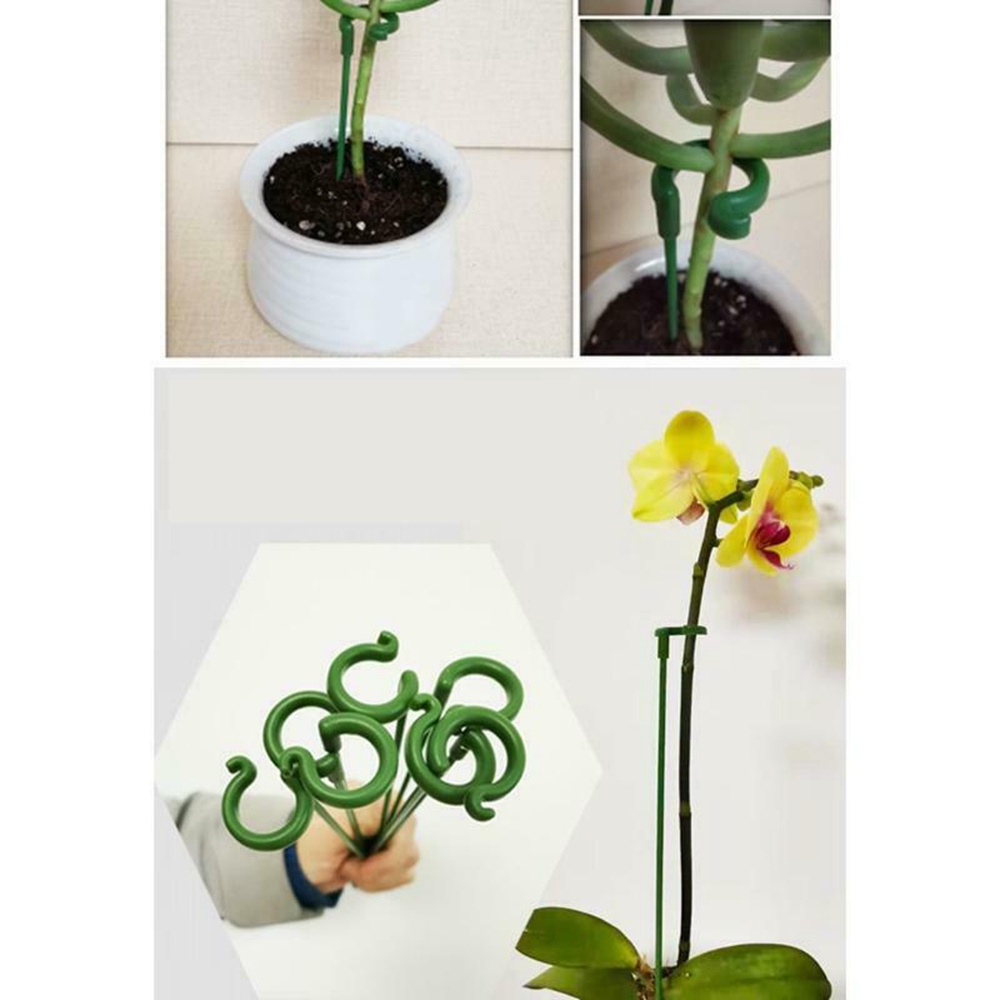 Set 10 Giá Đỡ Hỗ Trợ Trồng Hoa Lan / Bướm Kích Thước 17 / 27 / 37cm