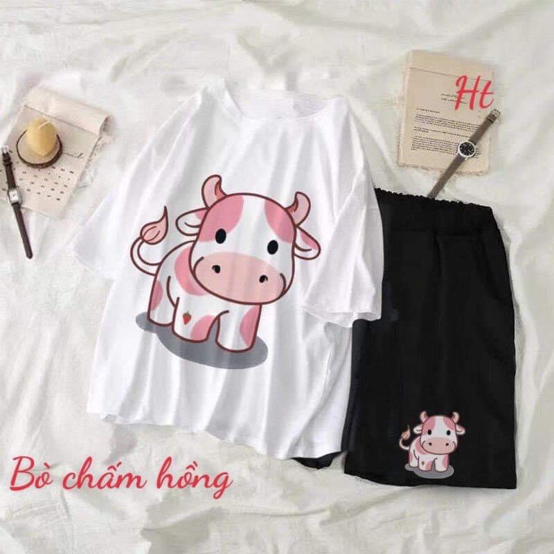 Sét đùi bò mẫu mới HT11