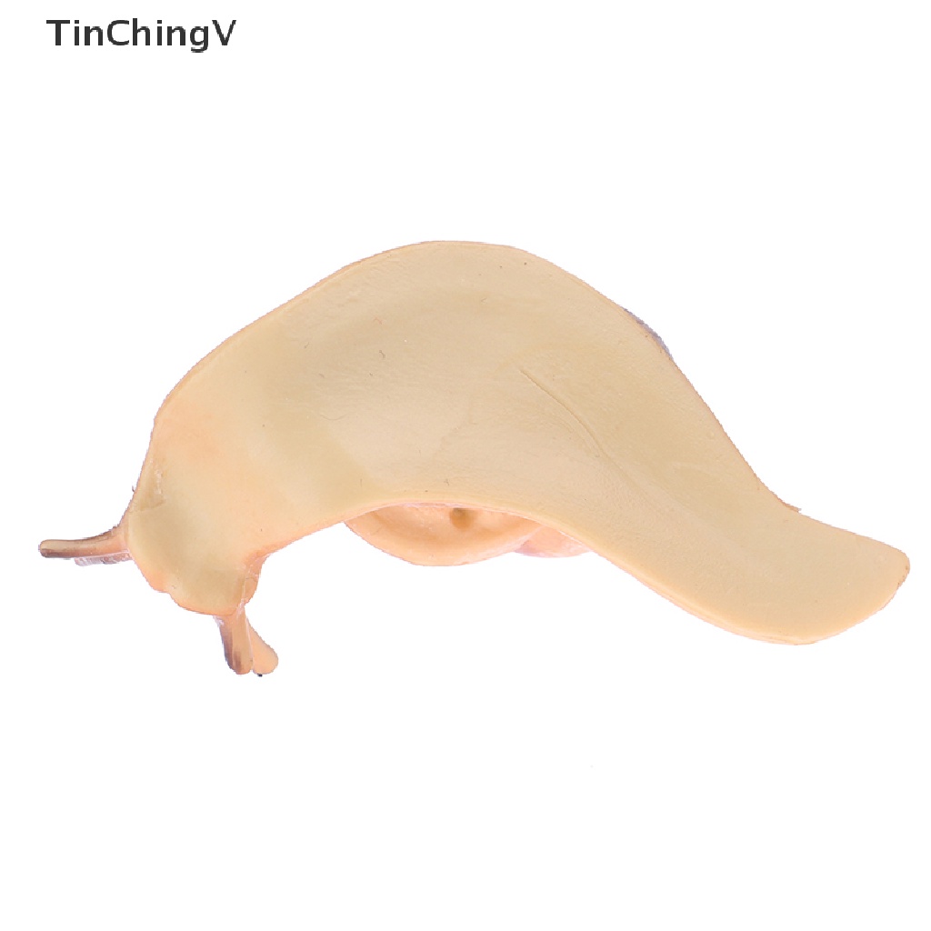 [TinChingV] Đồ trang trí Côn Trùng Động Vật mini Trang Trí Chu Kỳ Mọc Răng