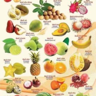 TRANH TREO TƯỜNG 14 CHỦ ĐỀ