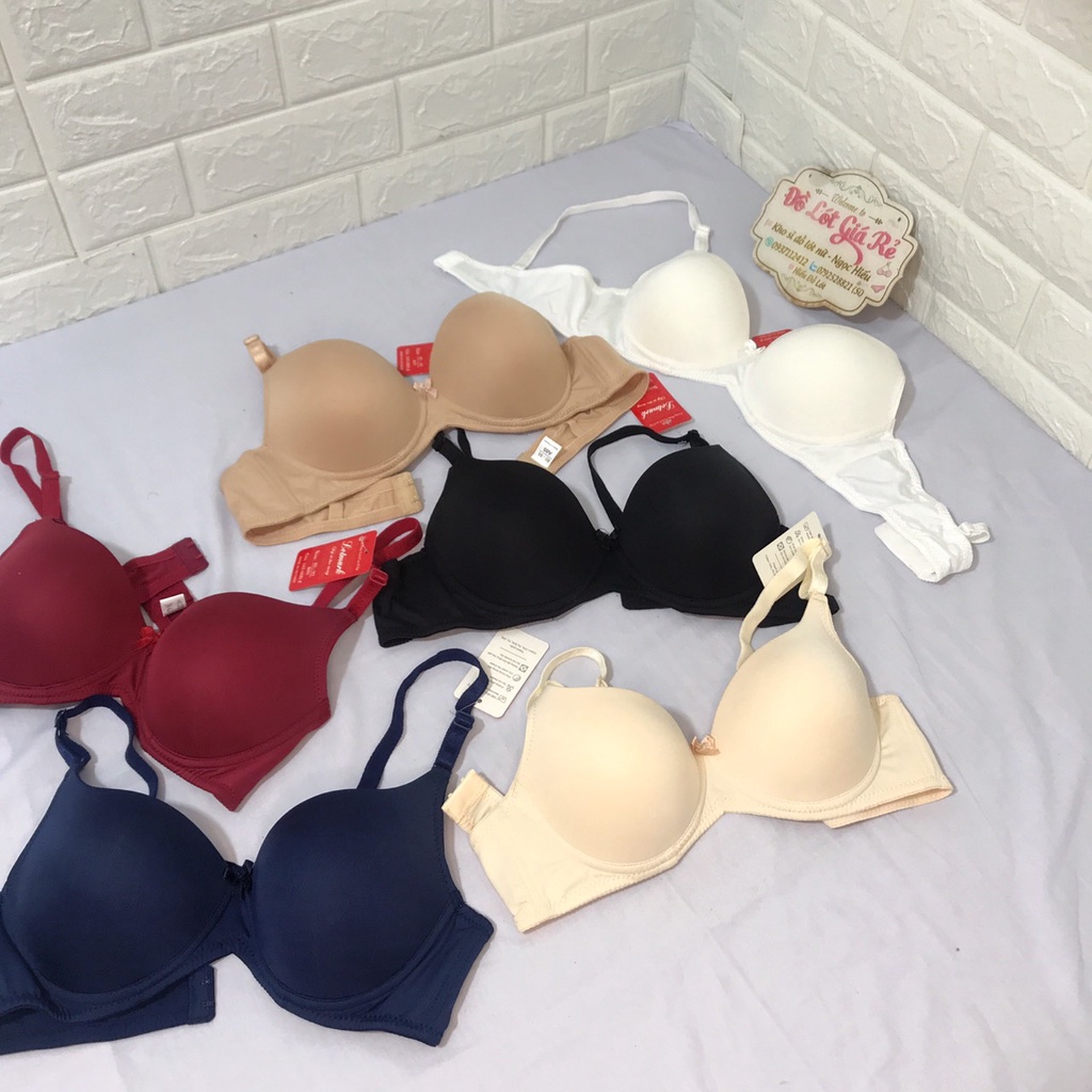 Áo Ngực Nữ Đệm Mỏng Không Gọng Hieu Store24h, Áo Lót Cotton Trơn 2 Móc Cài Sau - K66