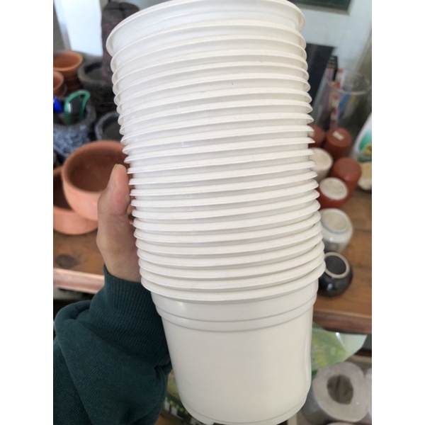 Chậu Nhựa Trắng Size 10x8cm Trồng Sen Đá