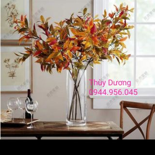 Lọ thủy tinh trồng cây , thả cá miệng loe.