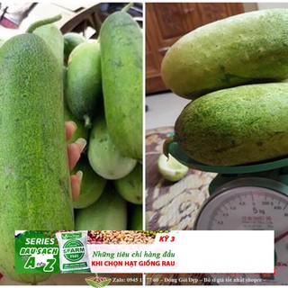 DƯA CHUỘT MÈO ( QUẢ TO ) 10 hạt