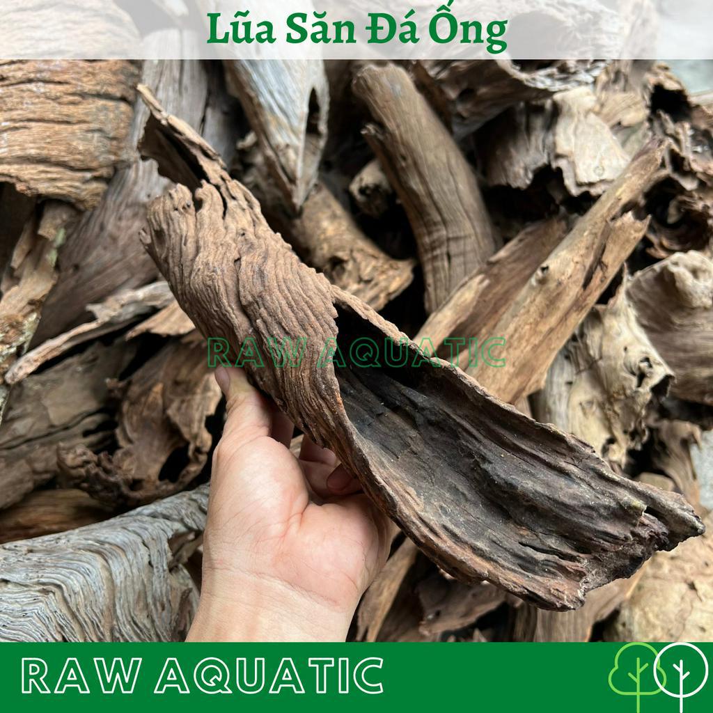 Lũa Săn Đá Ống Trang Trí, Setup Bể Cá Cảnh, Bể Thủy Sinh