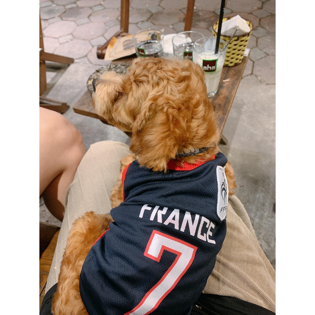 Áo cho chó mèo mùa hè,áo bóng đá xinh xắn đủ size (logo thêu)