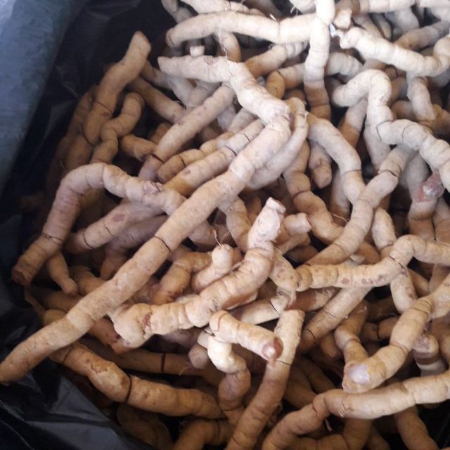 1kg ba kích tím quảng ninh hàng chọn loại 1