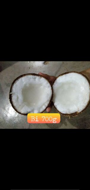 Combo 5 trái Dừa Bi 700,800g đặc ruột