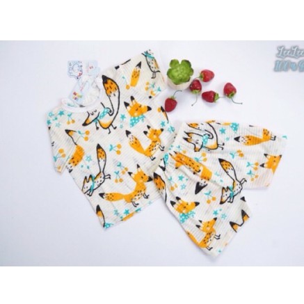 Bộ quần áo cotton sợi tre cho bé (Từ 0- 15M)