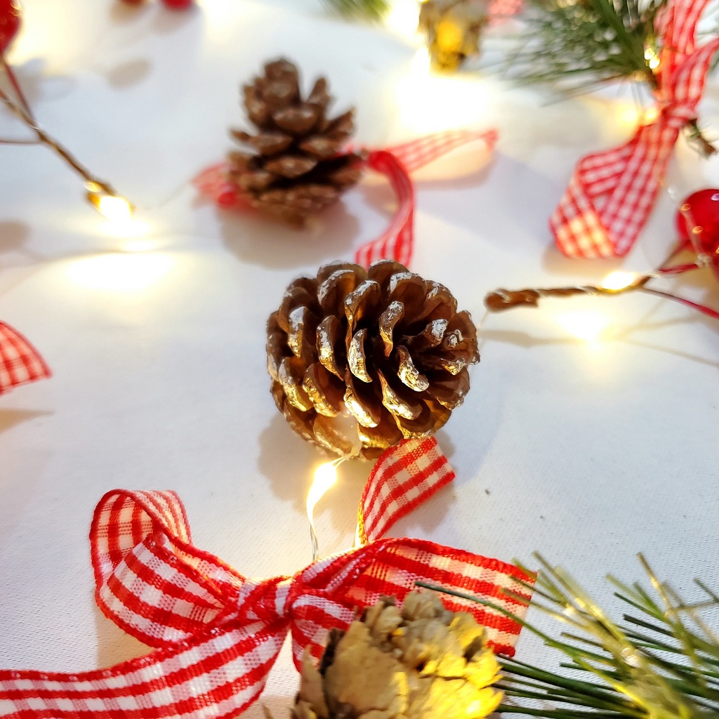 Đèn giáng sinh THÔNG LEM PHỦ TUYẾT DTN03 lung linh huyền ảo trang trí giáng sinh