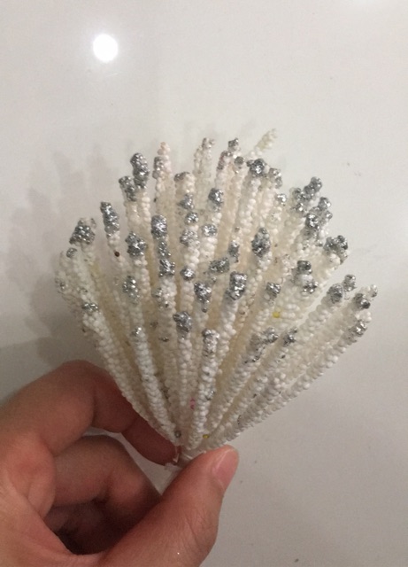 Nhuỵ hoa trạng nguyên