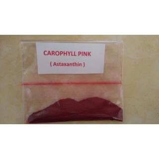Carophyll đỏ trộn đồ tươi cho cá cảnh (1 gram) - Carophyll red 10% trộm tim bò, tôm, thức ăn cá