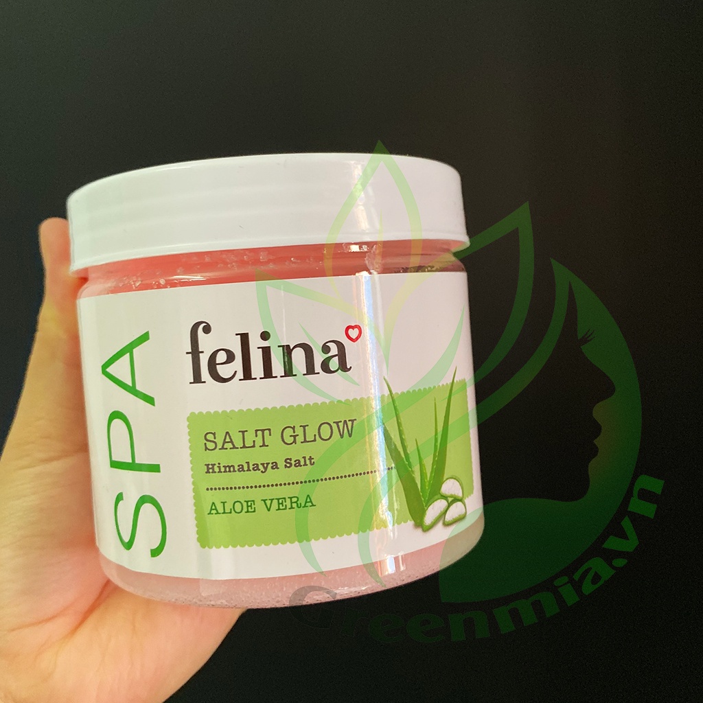 Tẩy Tế Bào Da Chết Body Dạng Muối Chiết Xuất Lô Hội Nha Đam Felina Salt Aloe Vera 500g Làm Sạch Da Dưỡng Da Mịn Màng