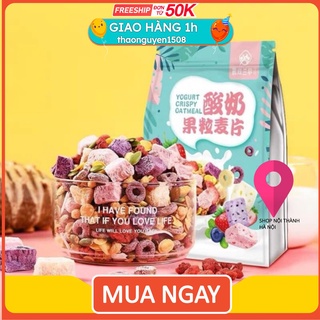 {BỘ Ngũ cốc TÚI} NGŨ CỐC sữa chua/ MIX hoa quả 500gr các loại