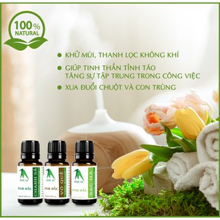 Combo 3 loaị Tinh Dầu (Chanh Sả, Bạc Hà, Vỏ Quế) Nguyên Chất, Xông Thơm Phòng, Xe Hơi