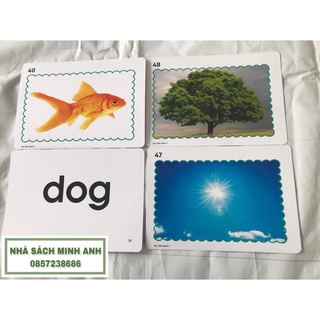 Flashcards MY LITTLE ISLAND 1 (A5 - cán bóng/ ép plastic)