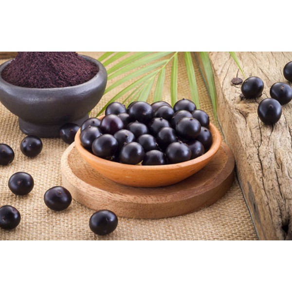 BỘT ACAI BERRY HỮU CƠ