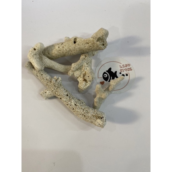 500gram San Hô Lọc Bể Cá Cảnh - Tăng Ph Nước