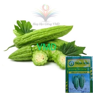 Hạt giống Khổ Qua F1 (THUAN NONG)