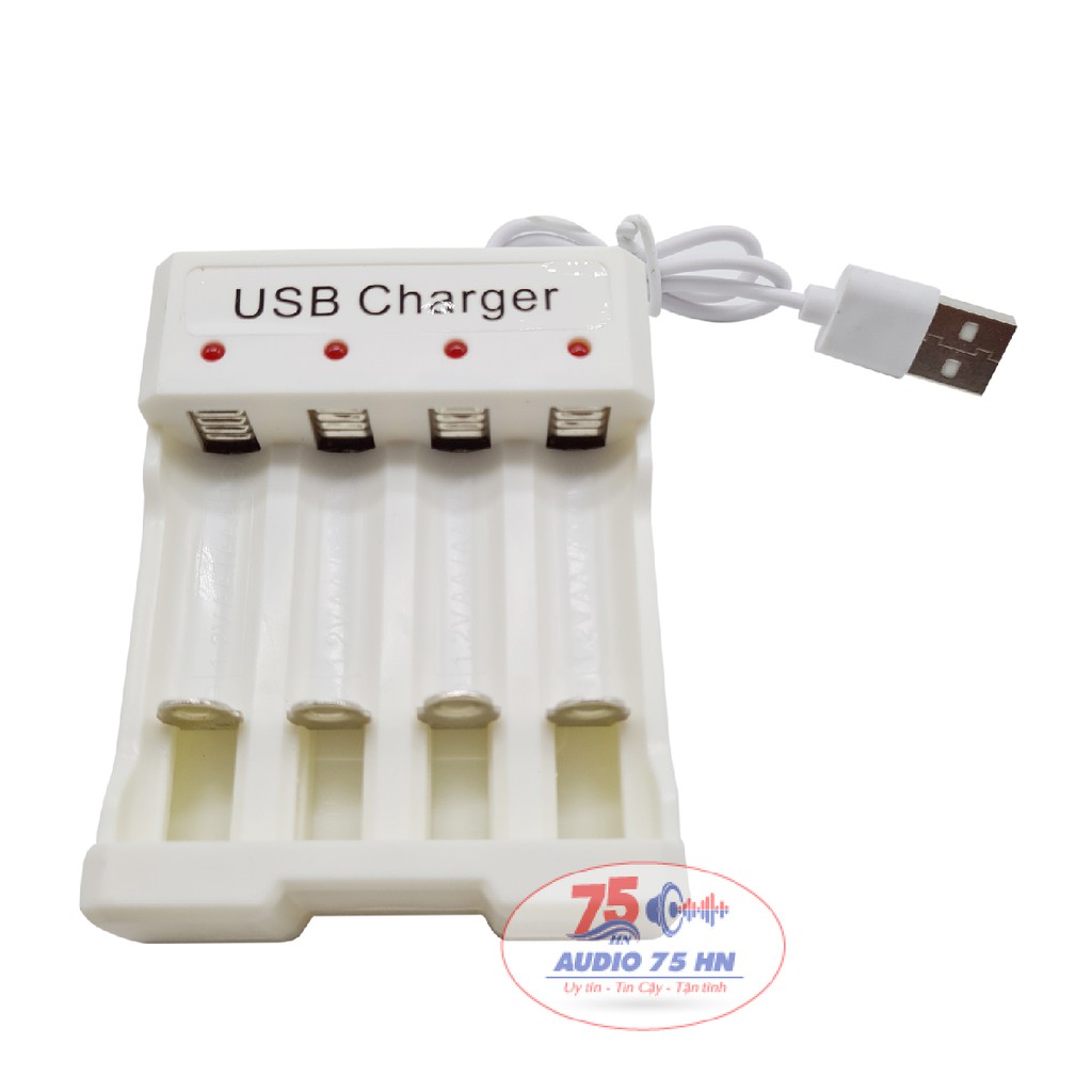 Bộ Vỉ 04 viên Pin AA Ni-Cd 1.2V 700mAh, có thể sạc nhiều lần và bộ sạc pin USB Charger loại tốt