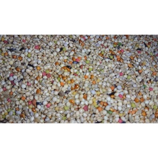 Thức ăn hỗn hợp cao cấp dành cho Finch gói 500g và 1kg