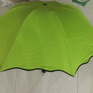 Ô nở hoa khi gặp nước