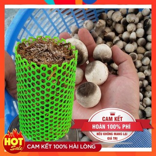 Phôi Nấm Rơm HƯNGQS Chất Lượng Trồng Tại Nhà Có Khuôn Lưới Nhựa Chăm Sóc Cực Dễ (phôi 2kg)