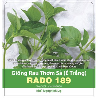 Hạt Giống Rau Thơm Xả (Rau É Trắng) Rado 189 Dễ Trồng, Thơm Ngon