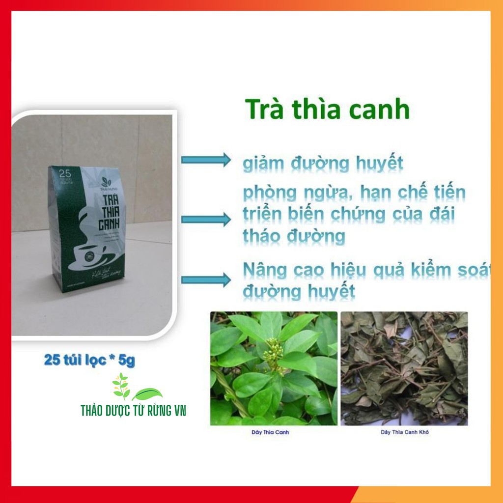 [HÀNG CAO CẤP] Trà Thìa Canh ✅  Thái Hưng Trà Tiểu Đường Khắc Tinh Tiểu Đường 25 Túi Lọc 125g