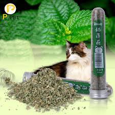 Cỏ bạc hà cho mèo phê pha xả streess (Catnip)