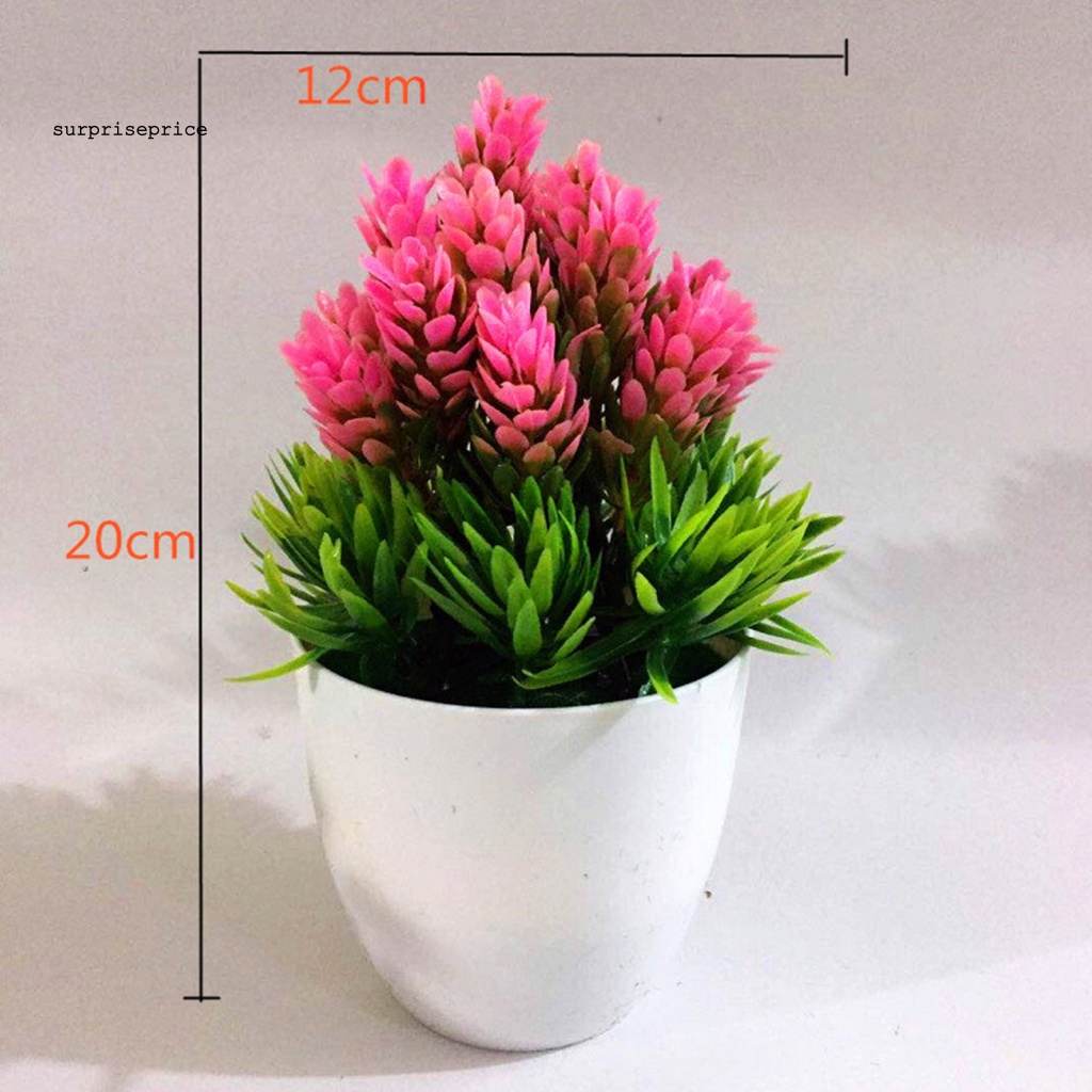 Chậu Cây Bonsai Giả Trang Trí Sân Vườn