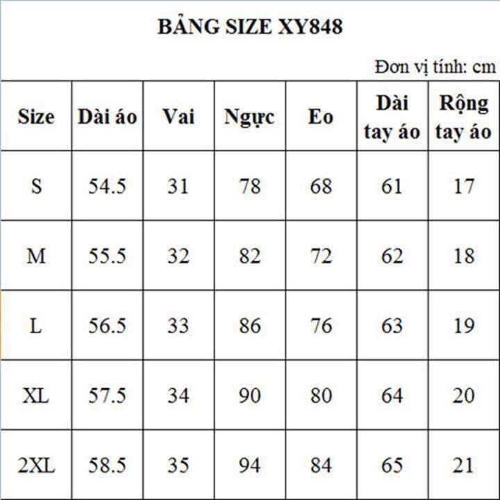 XY848 Áo ren nữ dài tay hàng nhập