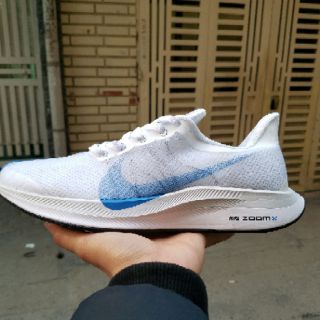 Giày thể thao Nike Zoom Pegasus