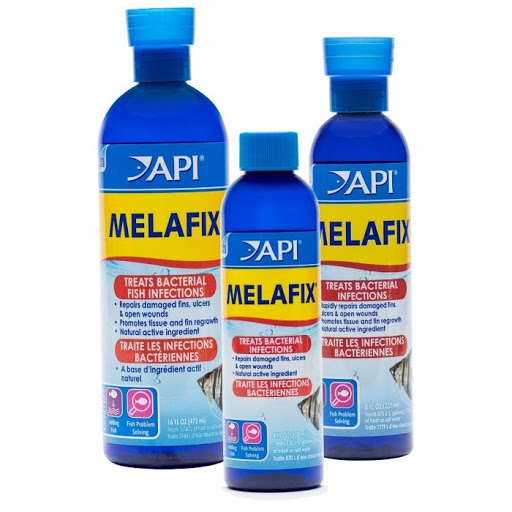 API Melafix - Thần dược sát khuẩn và trị ký sinh trùng cá cảnh
