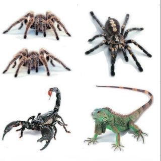 Tem dán 3D hình bò sát trang trí ô tô, xe máy.