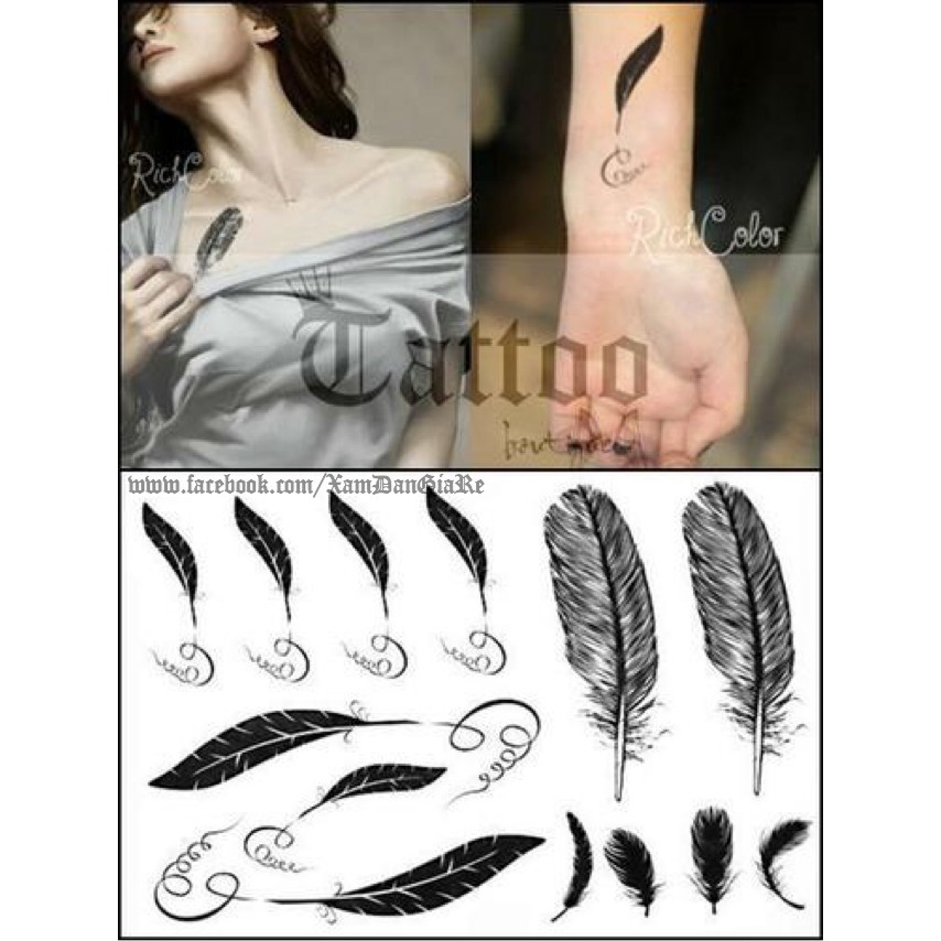 Hình xăm dán lông vũ C68