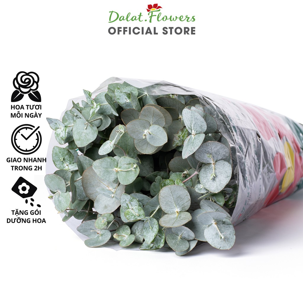 Lá Bạc Cắm Hoa (500g) - Dalat.Flowers