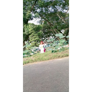 Bộ áo dài hoa sen size sm eo66-74