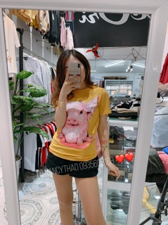 Áo phông 2019