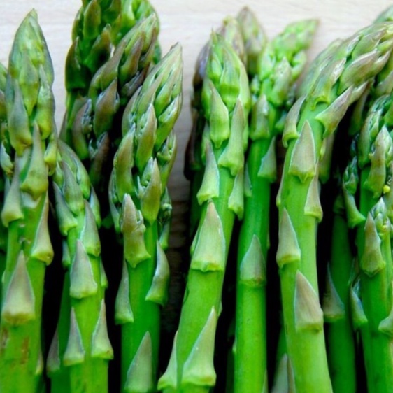 Hạt giống Măng Tây xanh dể trồng f1-gói 20 hạt