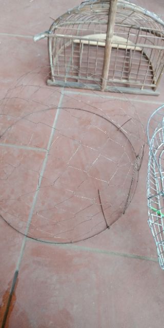 Bội úp chim cu gáy thép lò xo đàn hồi