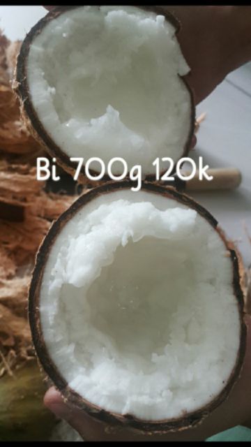 Dừa sáp Bi 2 đặc ruột | BigBuy360 - bigbuy360.vn