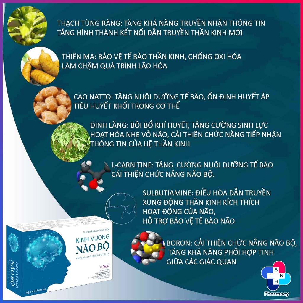 KINH VƯƠNG NÃO BỘ - Hỗ trợ phục hồi chức năng não bộ, đẩy lùi di chứng não.